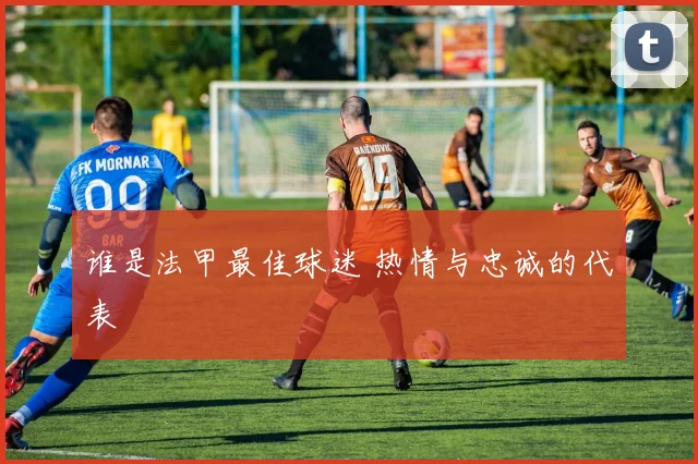 谁是法甲最佳球迷 热情与忠诚的代表