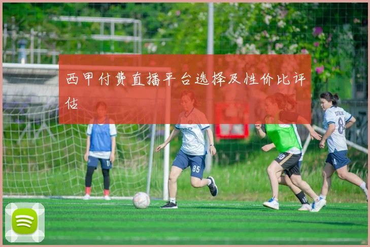 西甲付费直播平台选择及性价比评估